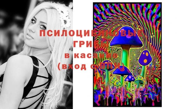 MESCALINE Майский