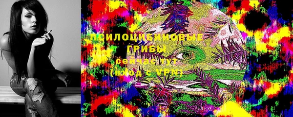 молекула духа Алагир