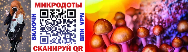 Галлюциногенные грибы ЛСД Никольск